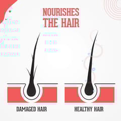 Beardhood Onion Oil with Redensyl for Hair Growth and Anti Hairfall , 250ml